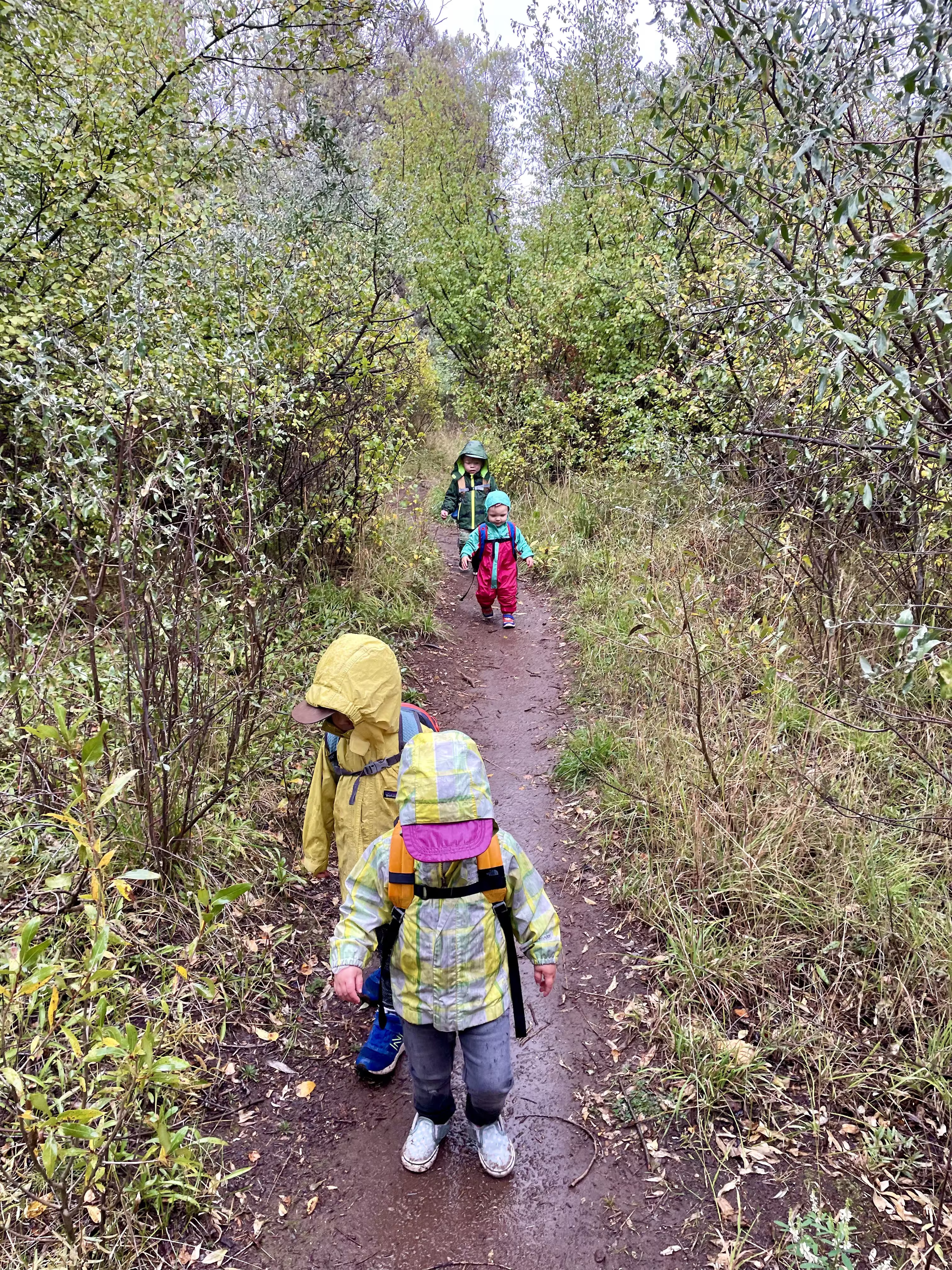 Children walking down a trail