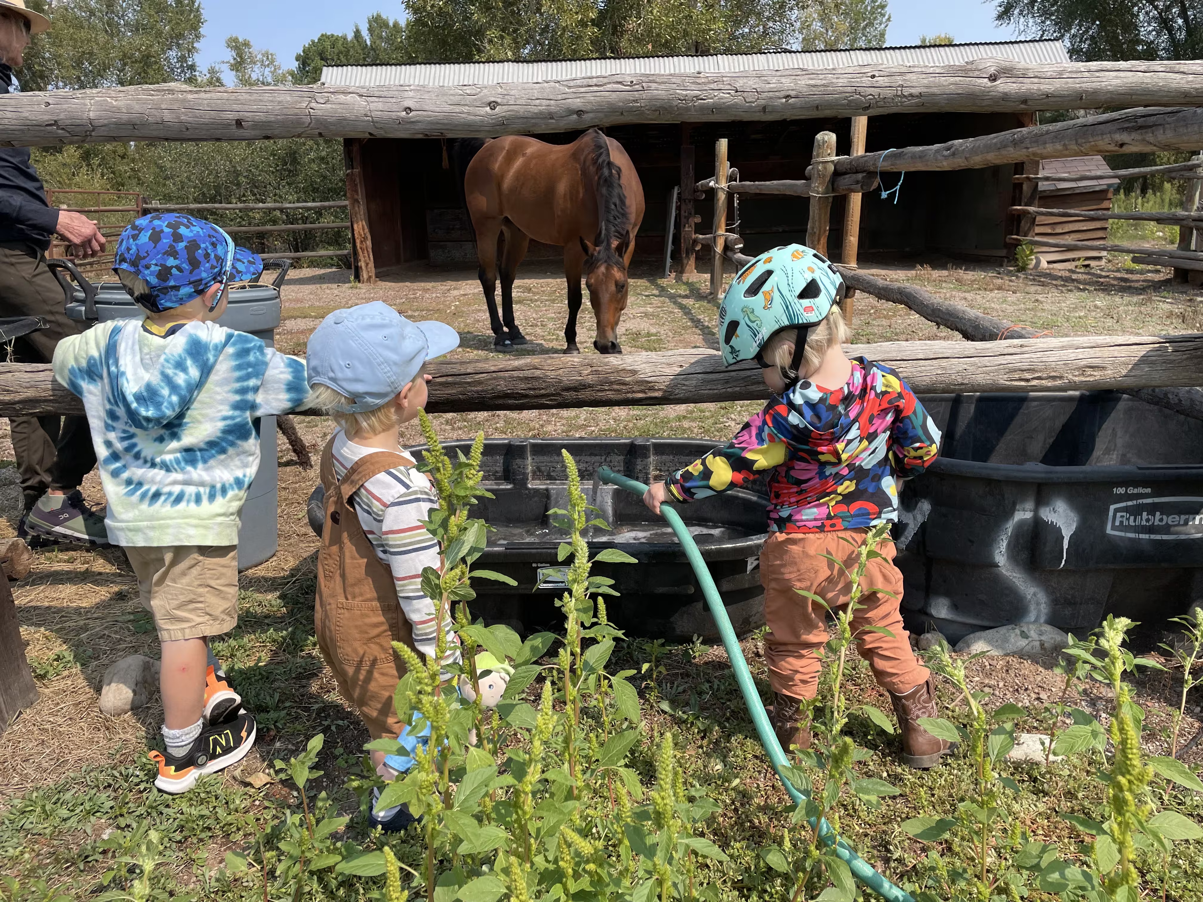 Three children looking at a horse. One is filling water.